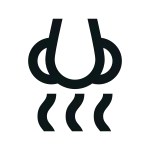 Smell SVG Icon